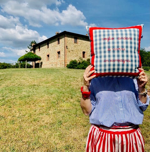 Cuscino quadri azzurri ricamato a mano "voglio andare a vivere in campagna"