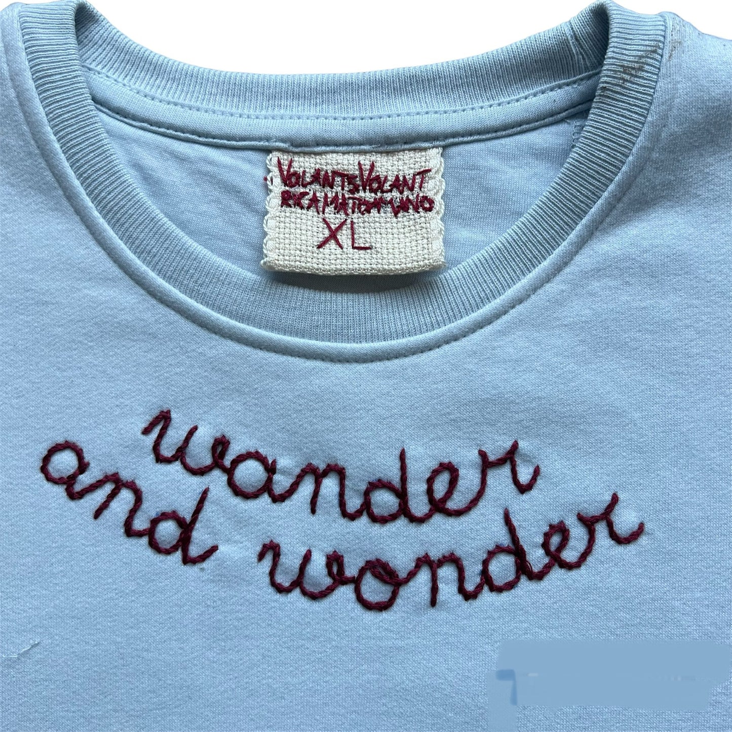 felpa girocollo celeste chiaro "wander and wonder" ricamata a mano