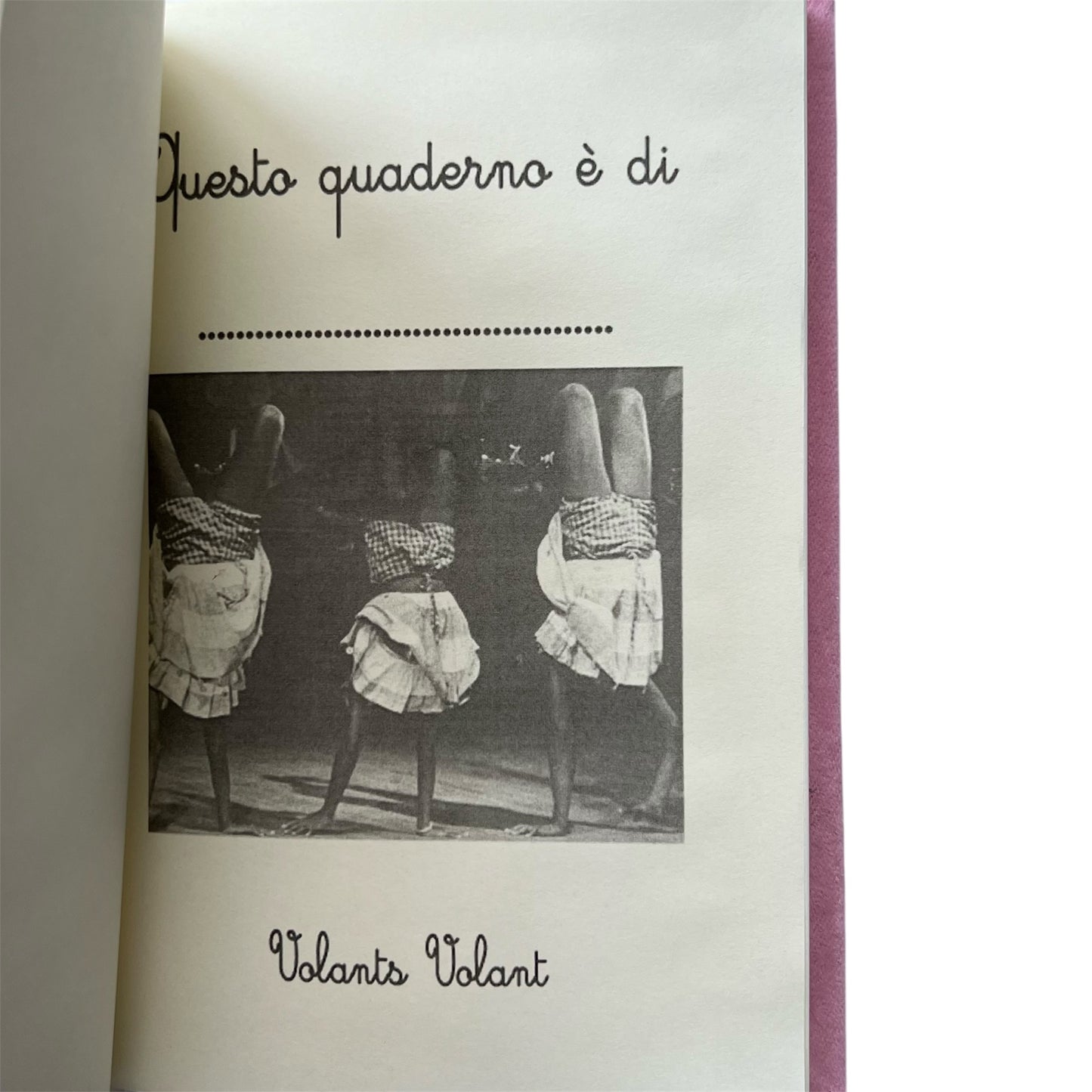 Quaderno in lana boucle' celeste "poema di nuove gioie" ricamato a mano