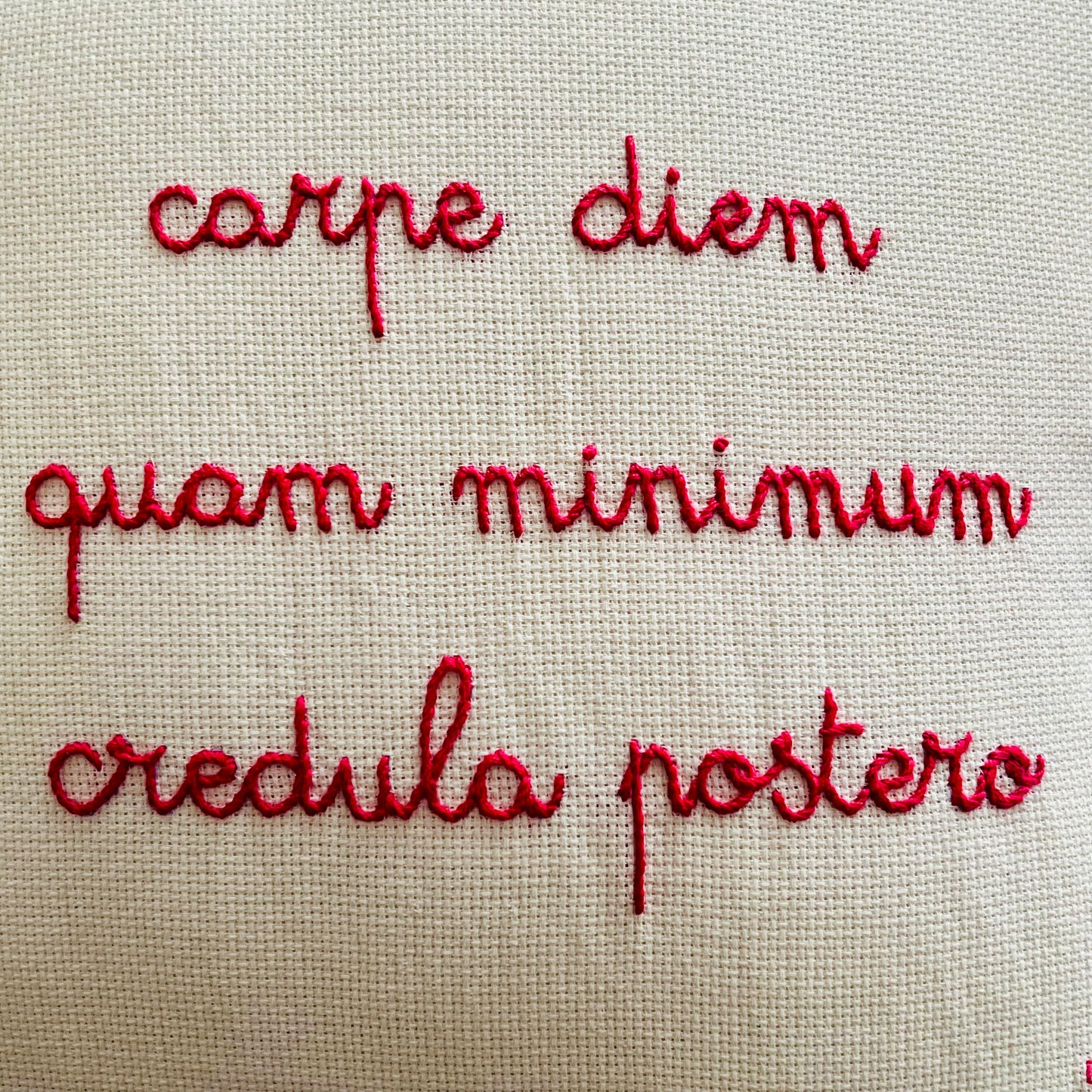 cuscino "carpe diem quam minimum credula postero" ricamato interamente a mano