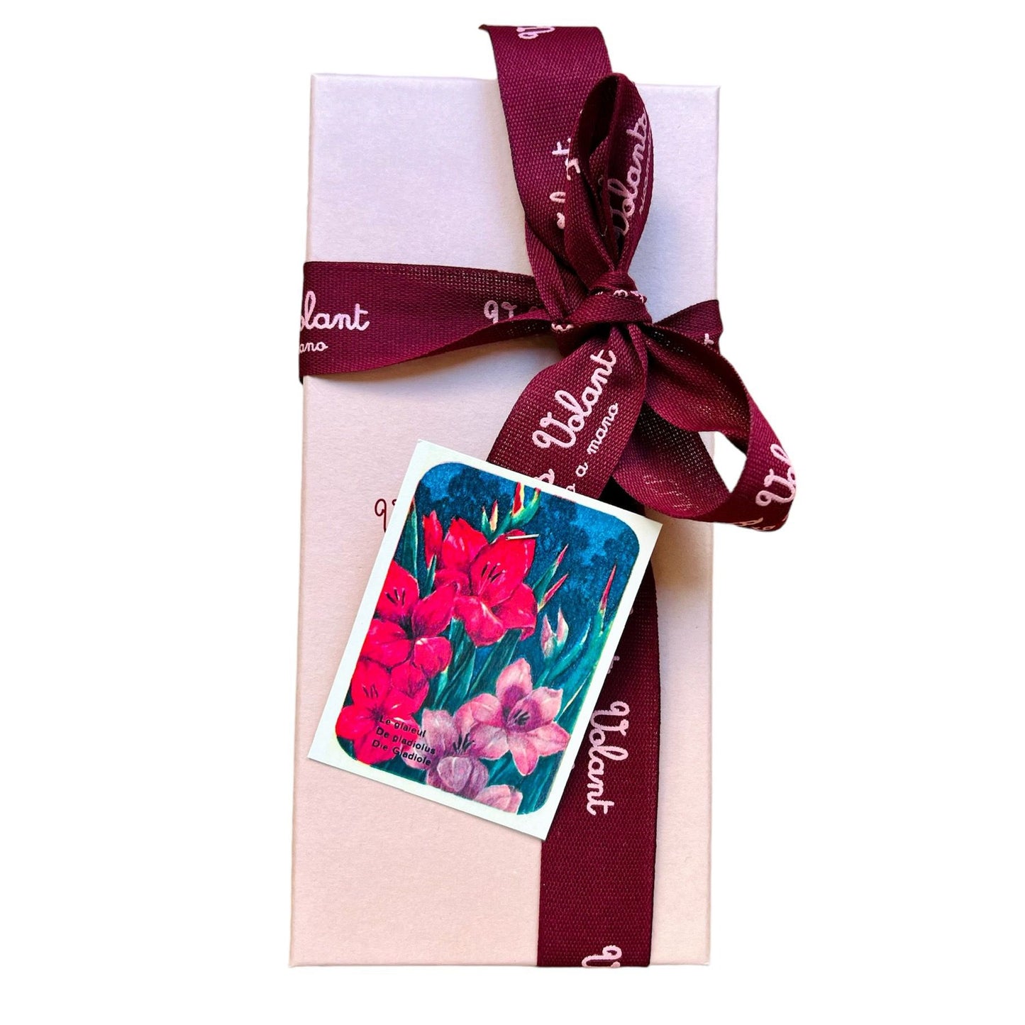 Calzini vichy marrone scuro e blu " be happy" con stelline ricamati a mano